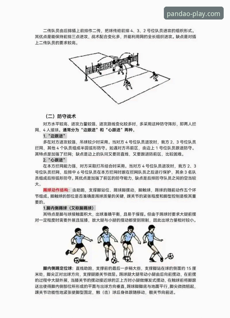 半岛体育平台实战评测：从零开始掌握半岛体育资讯教程的完整指南